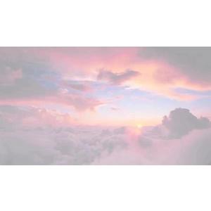 tonytoran画不打马原画
